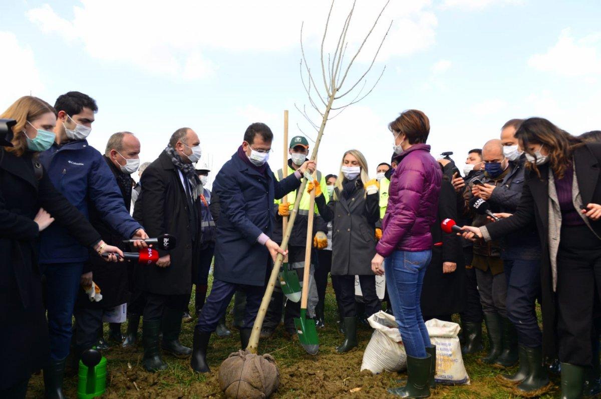 Pervin Buldan ve Ekrem İmamoğlu birlikte fidan dikti