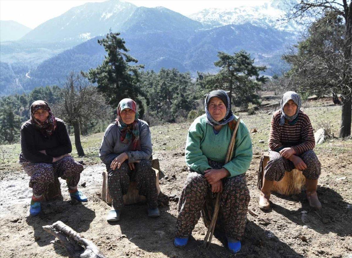 Antalya'da 70 yaşındaki kadının 62 yıllık çobanlık hikayesi