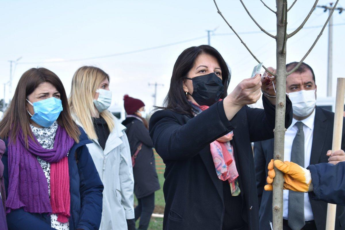 Pervin Buldan ve Ekrem İmamoğlu birlikte fidan dikti