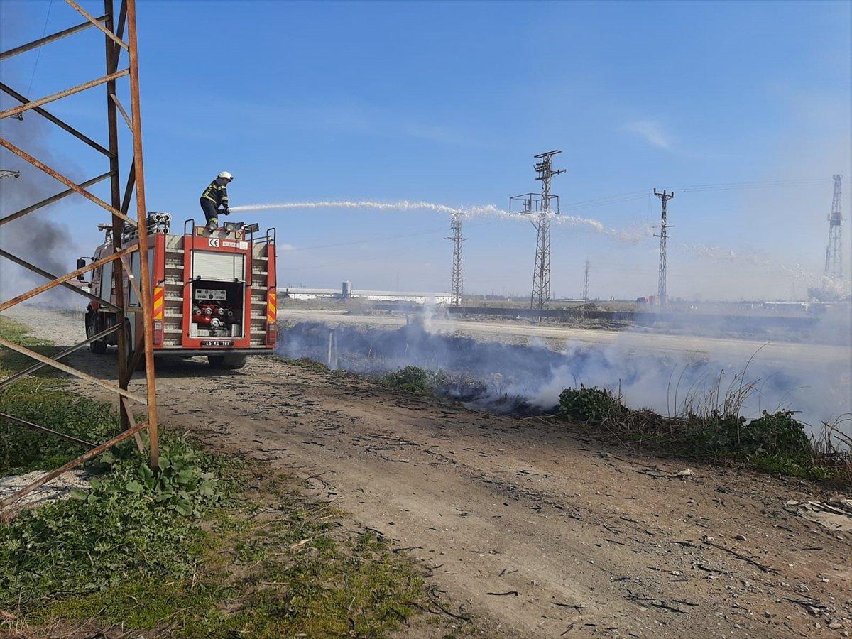Manisa'da yangın: 10 köpek yavrusu telef oldu
