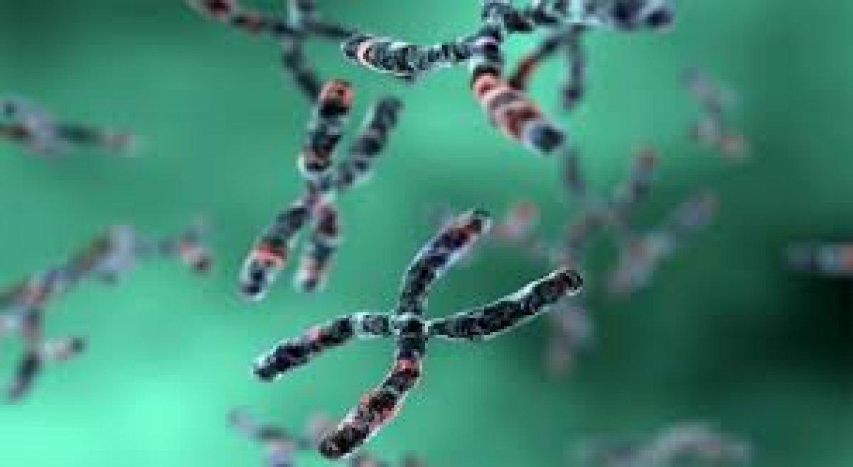 Karyotip analizi nedir