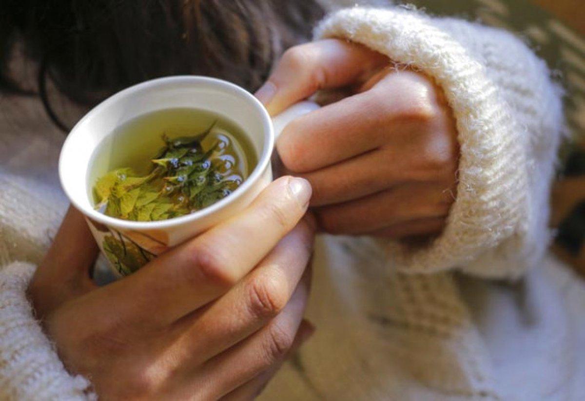 Çoban çökerten nedir, faydaları nelerdir? Çoban çökerten hangi hastalıklara iyi gelir, nasıl kullanılır?