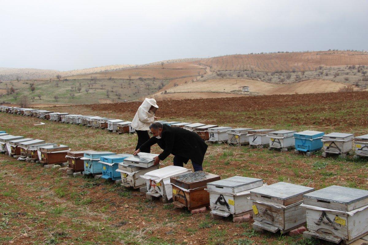 Siirt'te bal üretimi