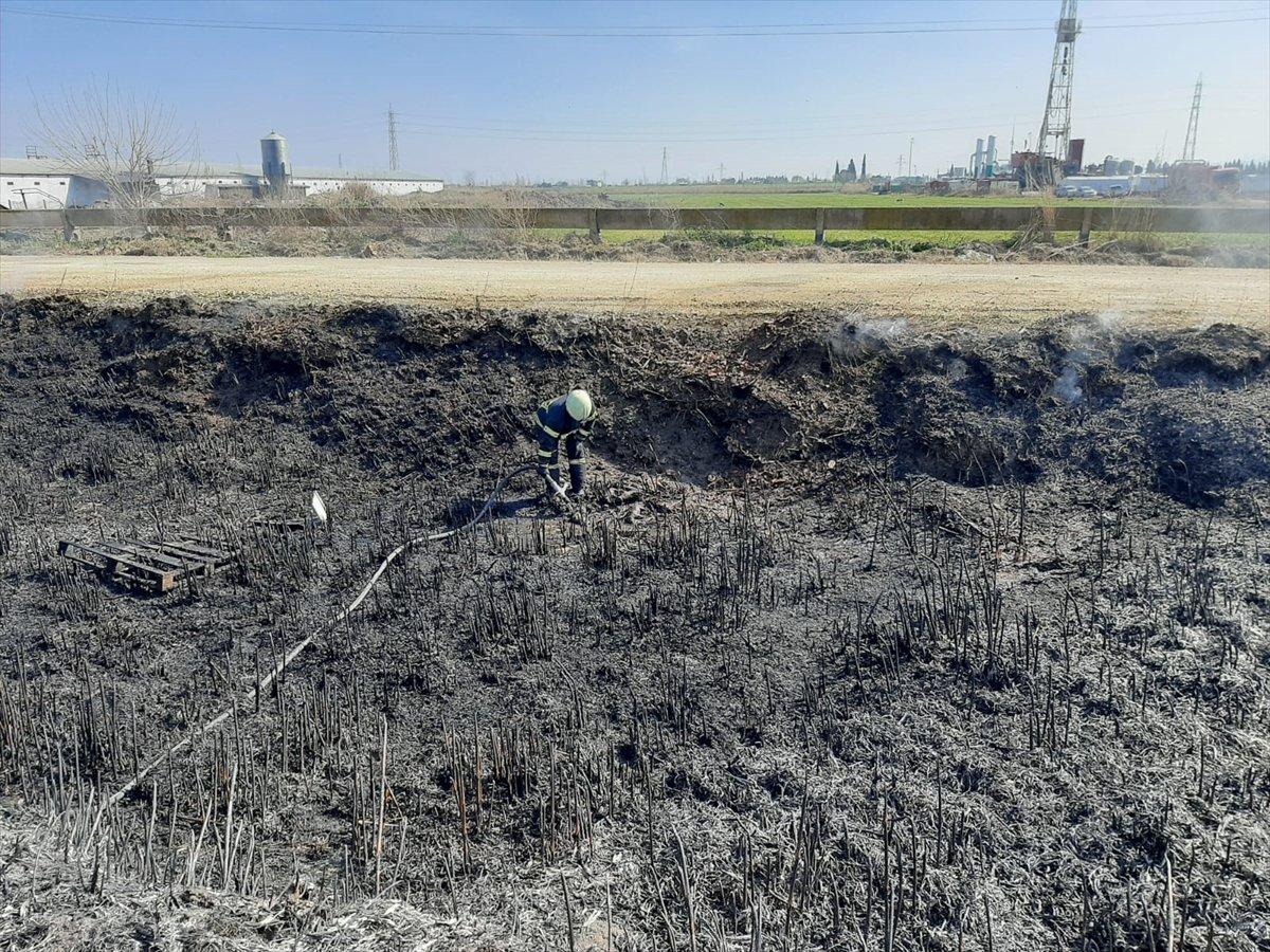 Manisa'da yangın: 10 köpek yavrusu telef oldu