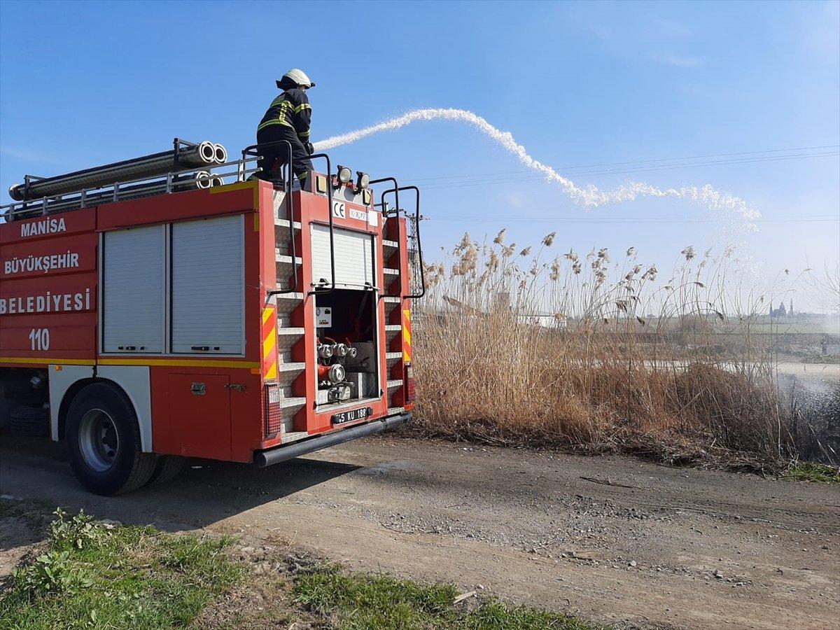 Manisa'da yangın: 10 köpek yavrusu telef oldu