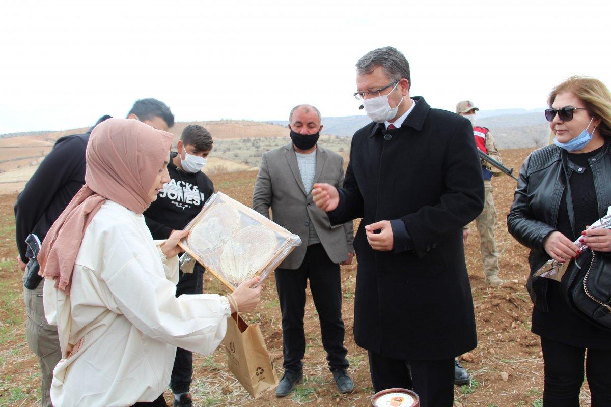 Siirt'te bal üretimi