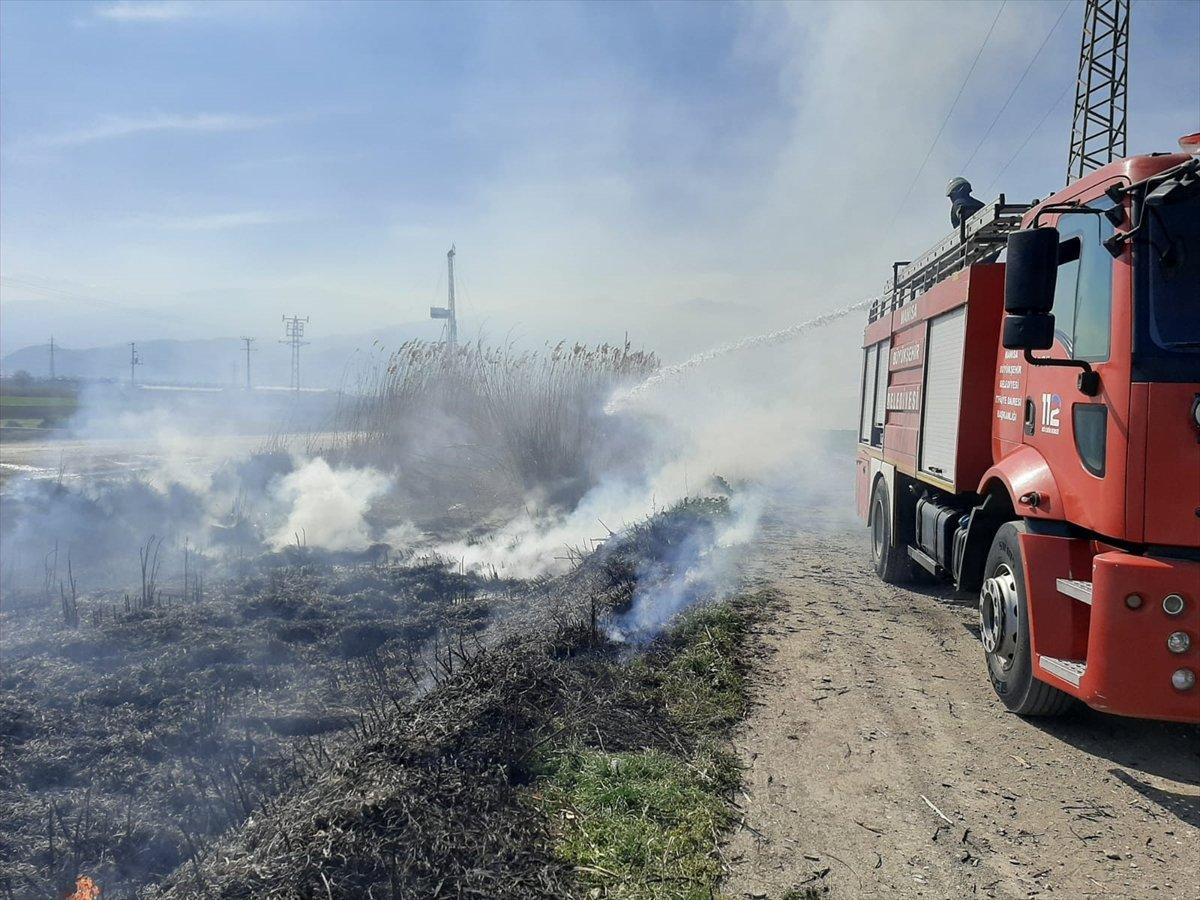 Manisa'da yangın: 10 köpek yavrusu telef oldu