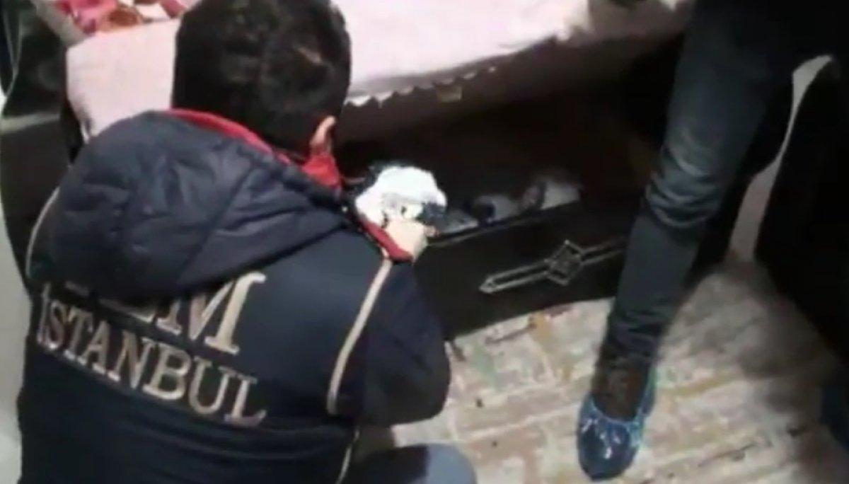 İstanbul'da PKK operasyonunda 7 şüpheli gözaltına alındı