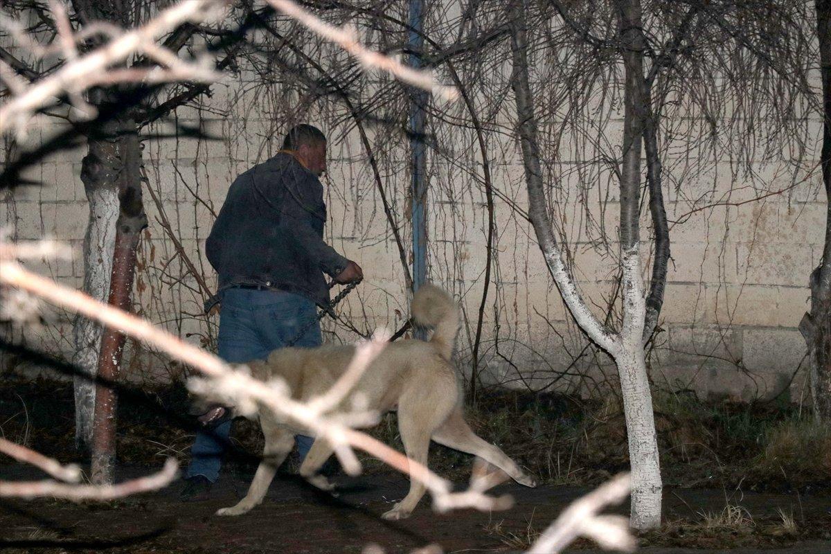 Kayseri'de komşusunun köpeği tarafından saldırıya uğradı
