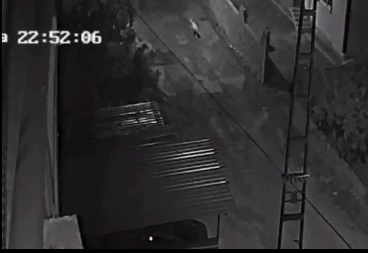 Hatay'da sokak köpeğini pompalıyla öldürdü