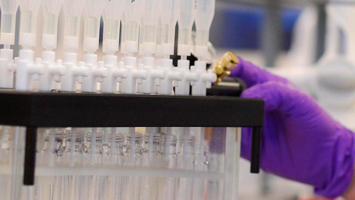 Türk araştırmacılar, kanseri bor oksitle tedavi etmek için çalışıyor