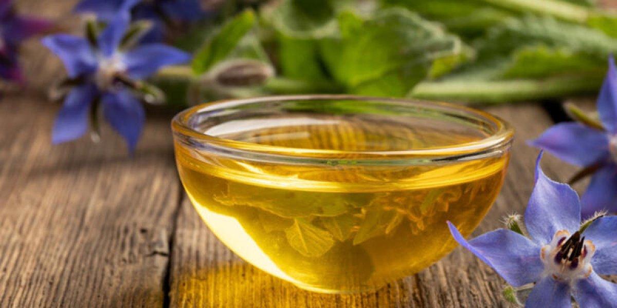 Kaldirik otu nedir, faydaları nelerdir? Kaldirik otu (ıspıt) nasıl kullanılır, nerede bulunur?