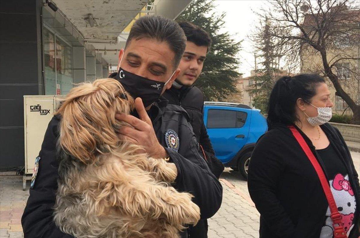 Konya'da köpekleri satacaktı, alıcı gibi davranan polise yakalandı