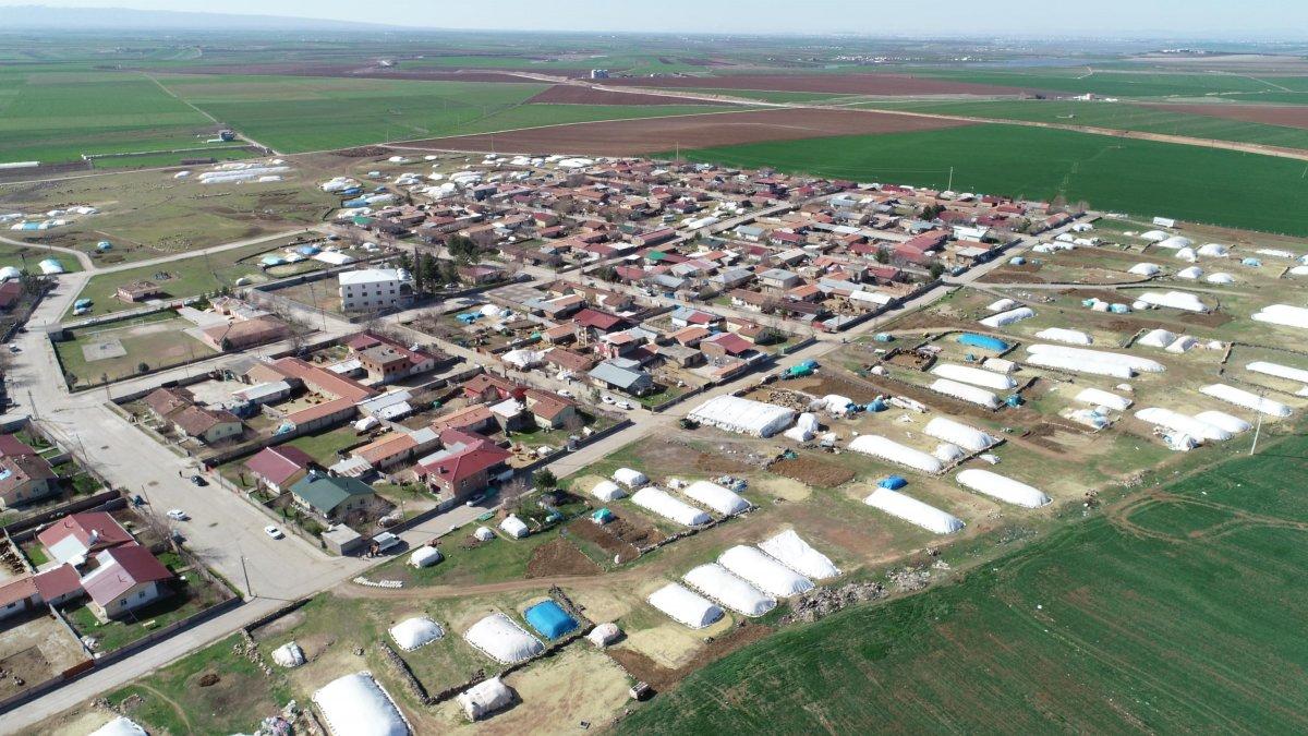 Diyarbakır'ın 200 kuzu, anneleriyle buluştu