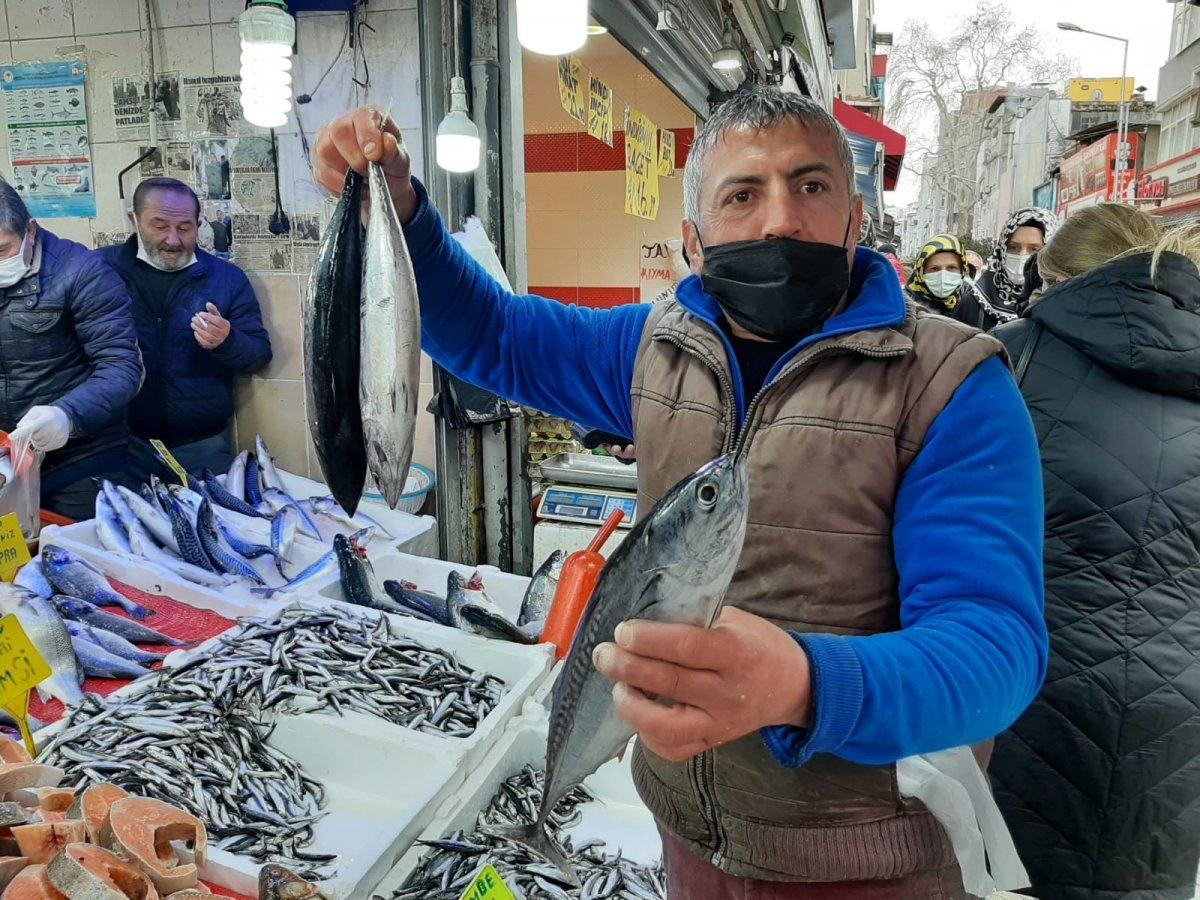 2 ay önce elveda denilen palamut yeniden tezgahlarda
