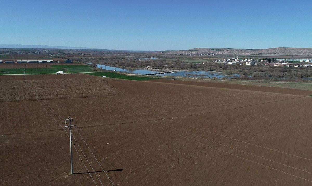5 bin kilometre yol yapan leylekler yuvalarını hazırlıyor