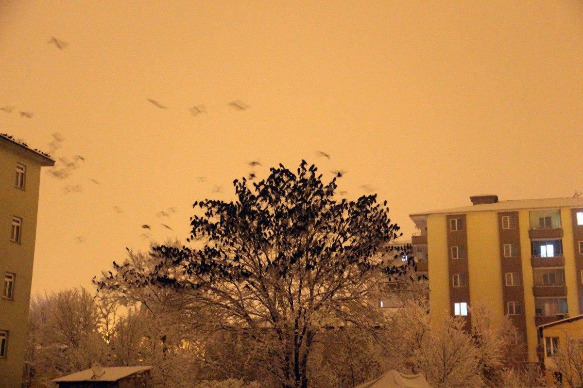 Ardahan'da karga istilası