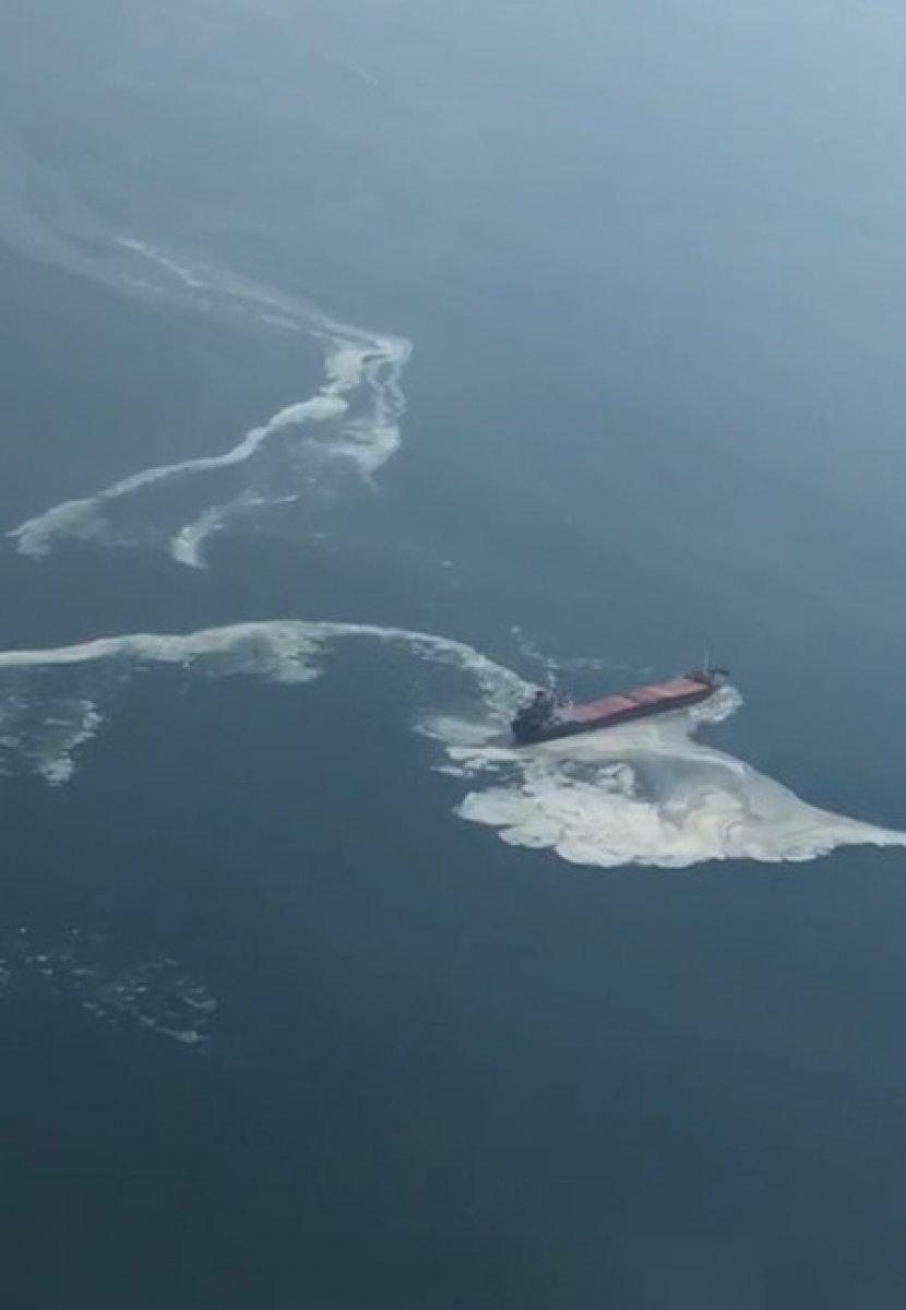 Gemlik Körfezi’nde kirlilik alarmı