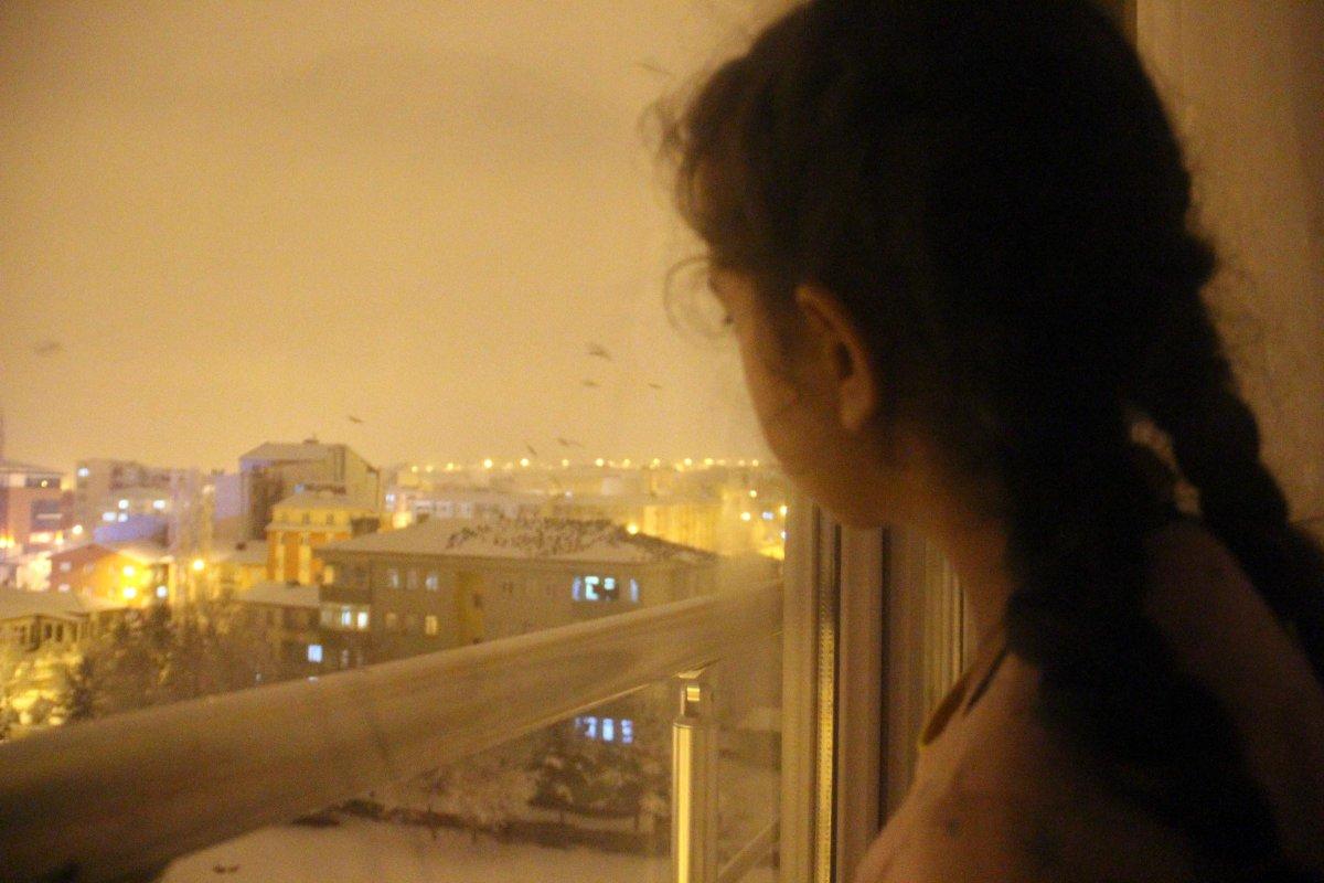 Ardahan'da karga istilası