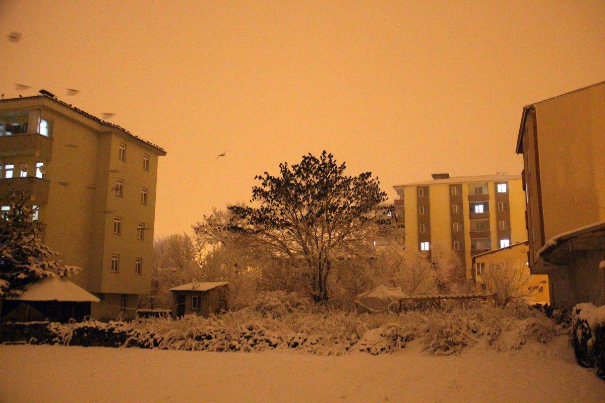 Ardahan'da karga istilası