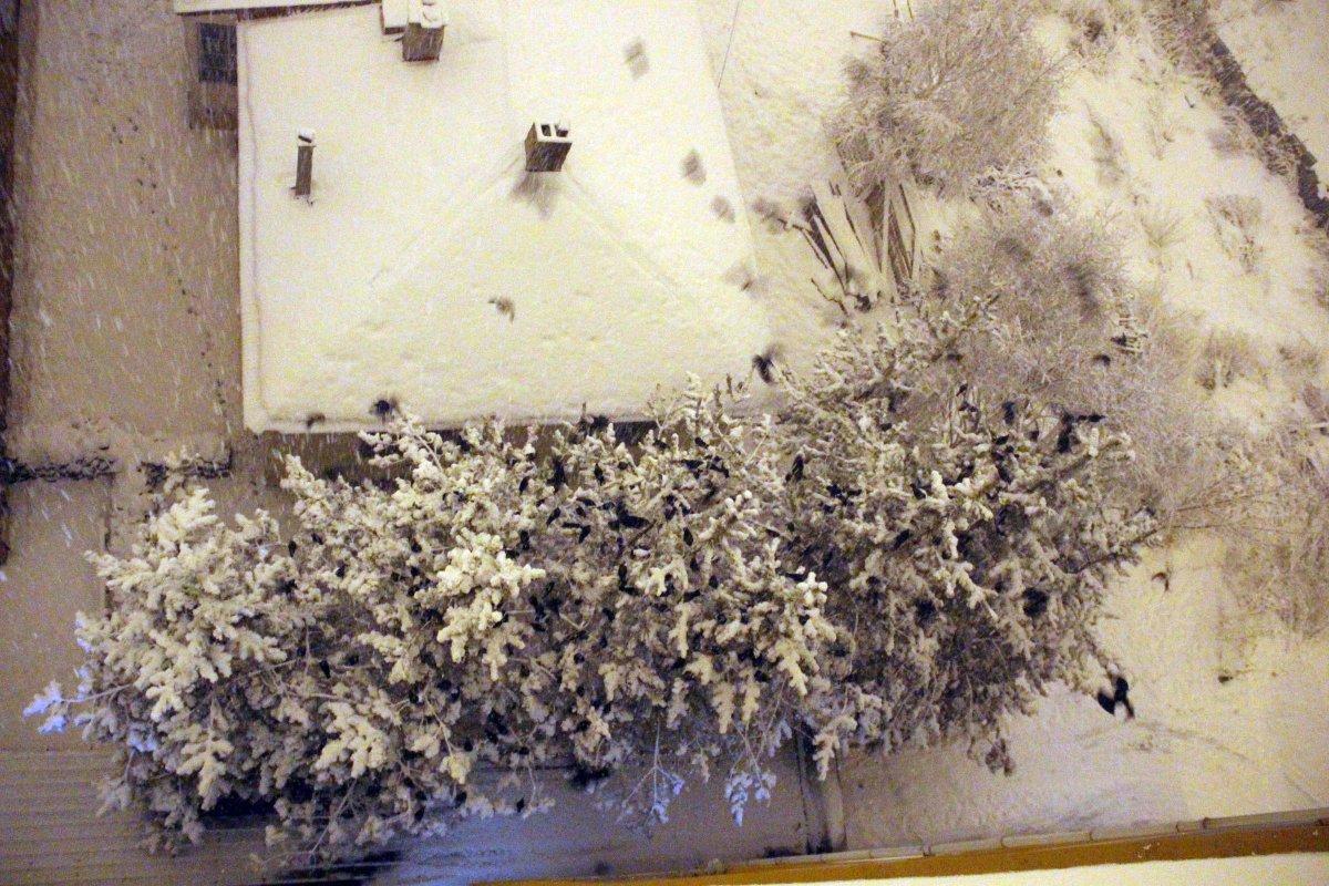 Ardahan'da karga istilası