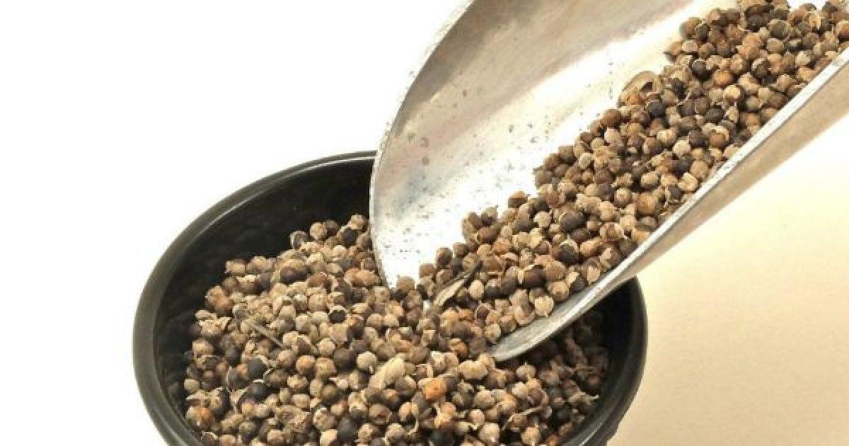 Hayıt tohumu nedir, faydaları nelerdir? Hayıt tohumu neye iyi gelir, nasıl tüketilir?