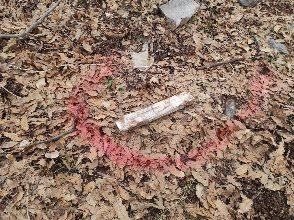 Siirt-Bitlis sınırında 8 patlayıcı imha edildi