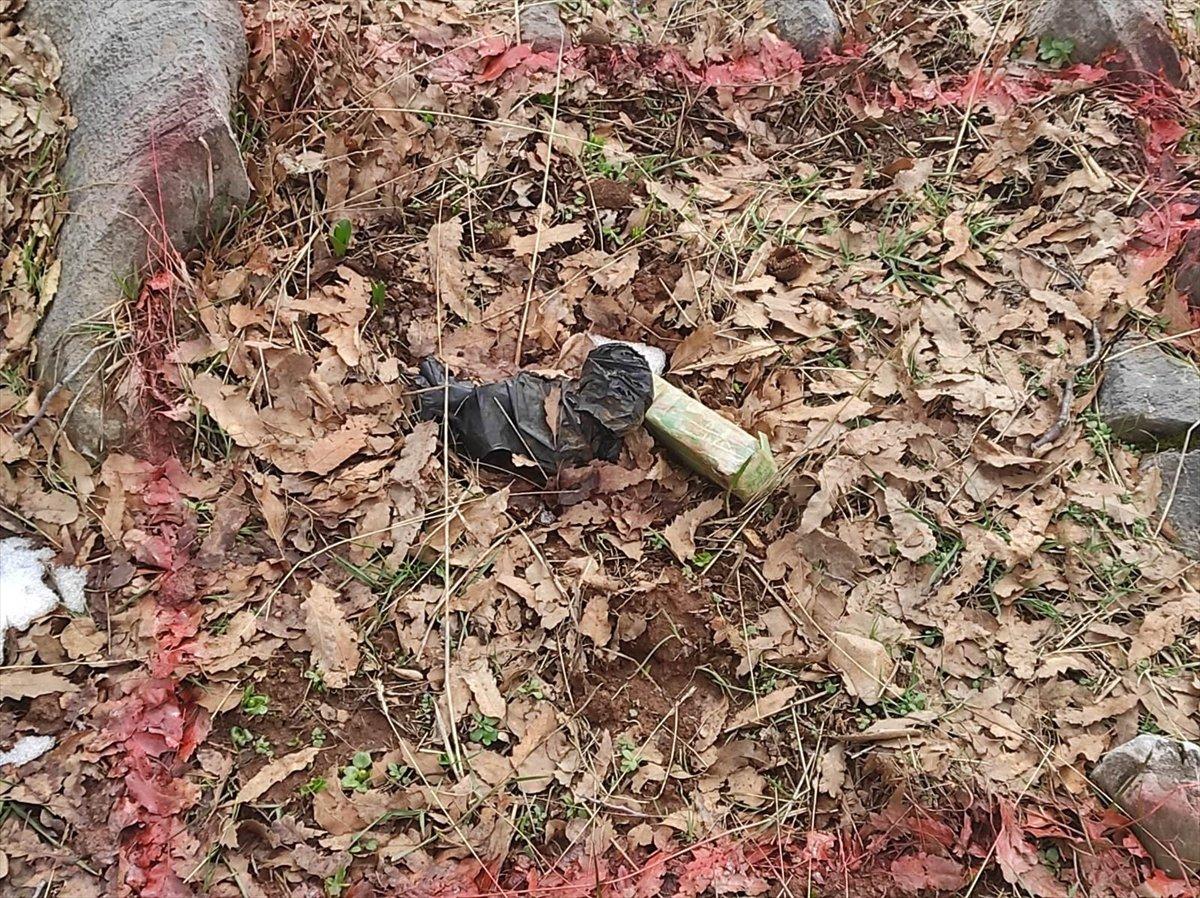 Siirt-Bitlis sınırında 8 patlayıcı imha edildi