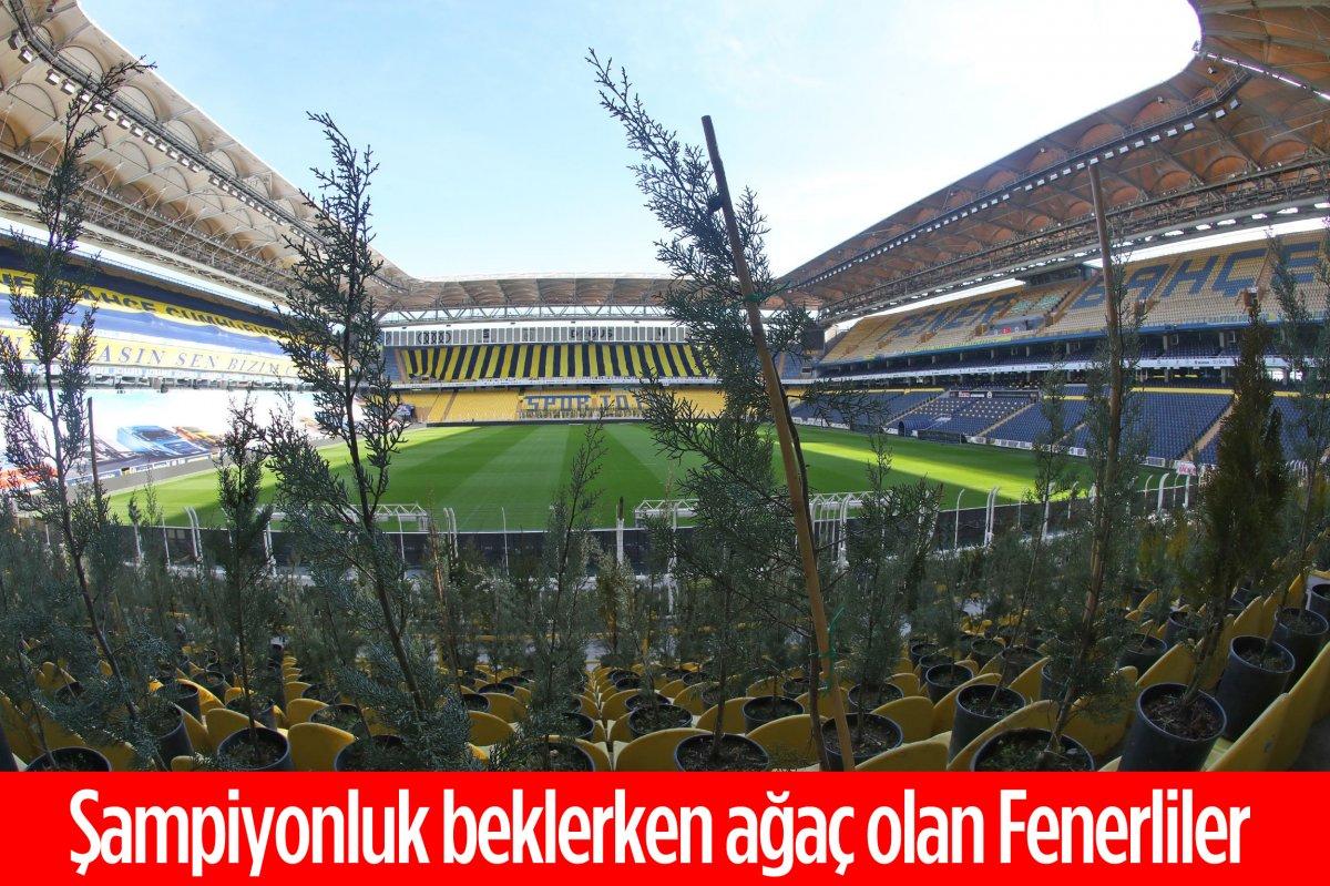 Kadıköy'de tribünlere fidan koyuldu