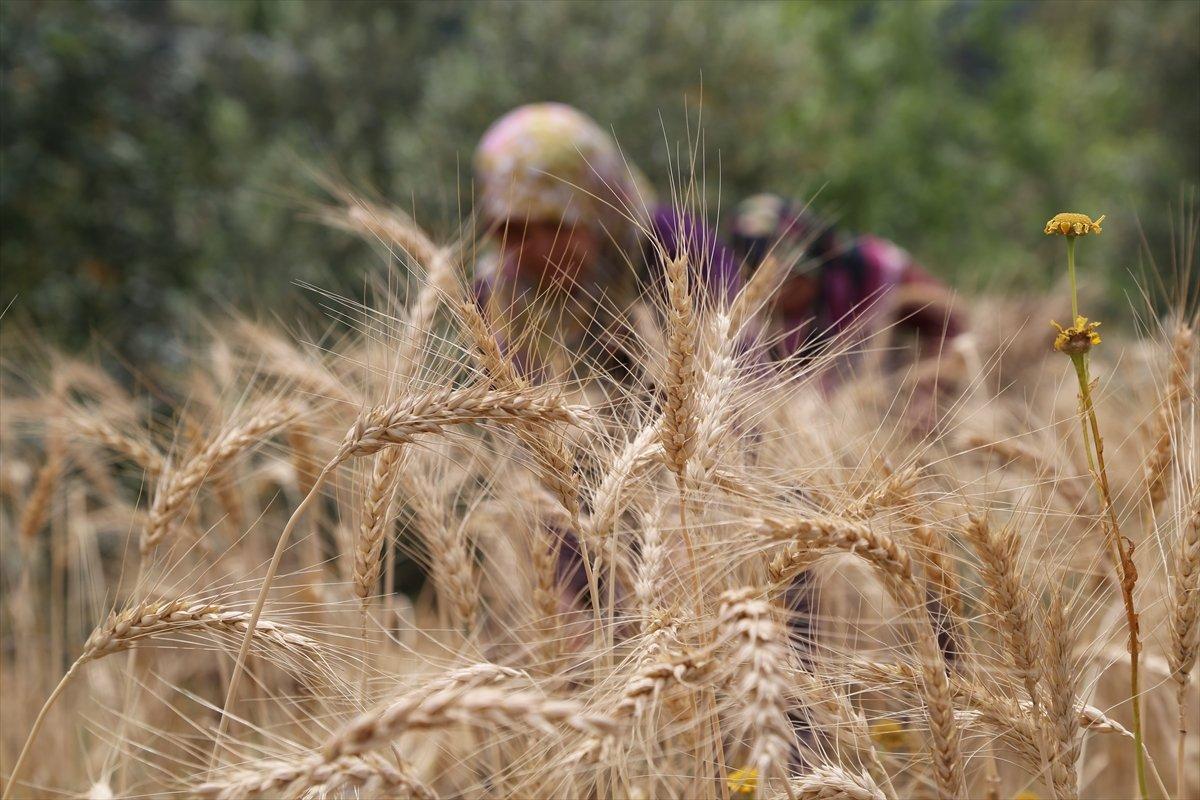 Emtia fiyatlarında düşüş