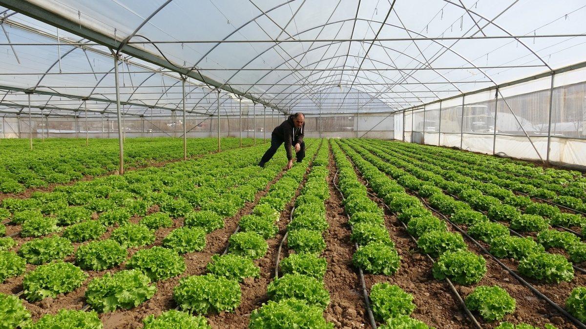 Tokat'ta küçük Antalya