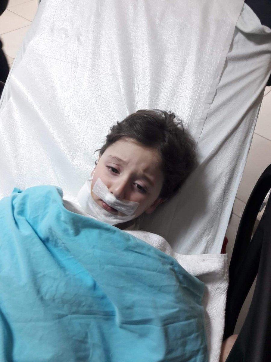 Kocaeli'de 5 yaşındaki çocuğa sokak köpekleri saldırdı