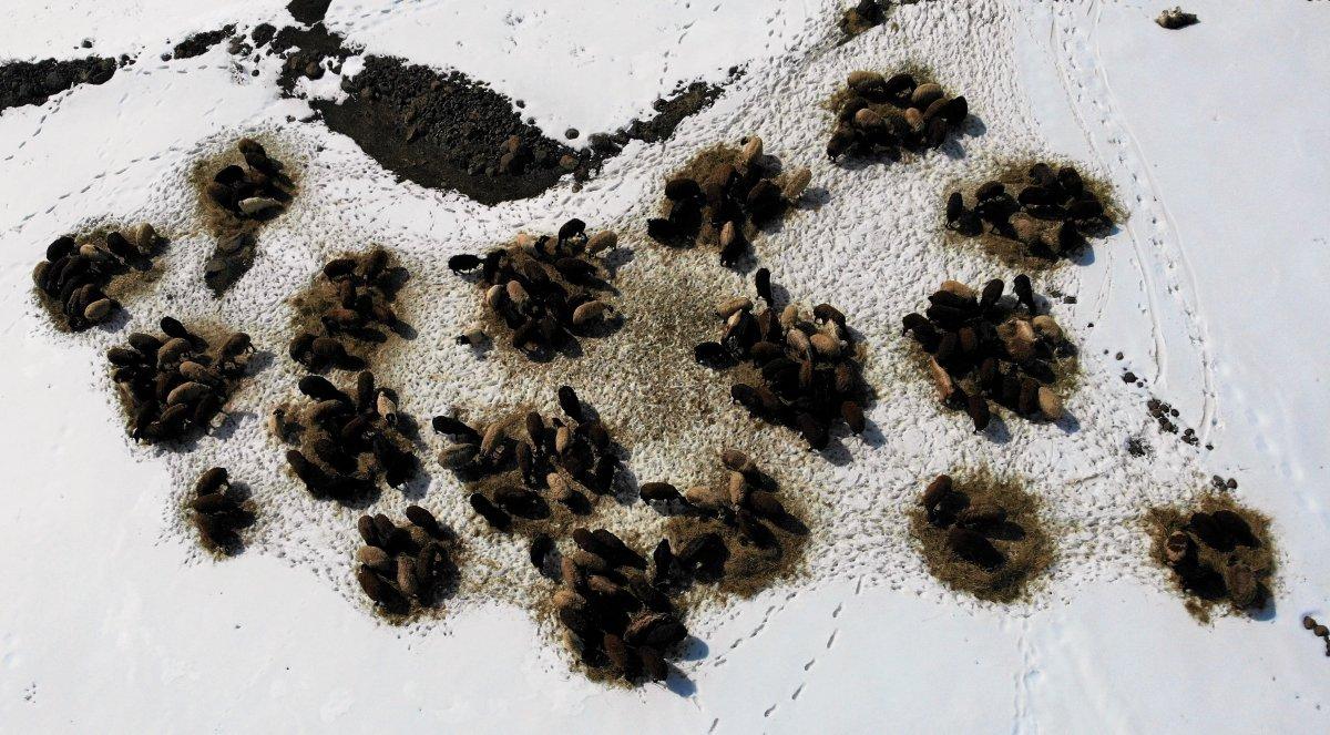 Muş'ta besicilerin ilkbahar beklentisi ertelendi