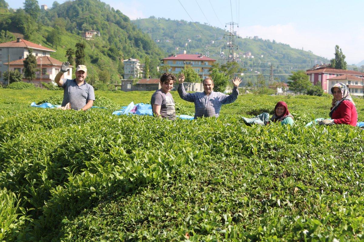 Karadeniz’e 'çay göçü' öncesi kritik vaka uyarısı