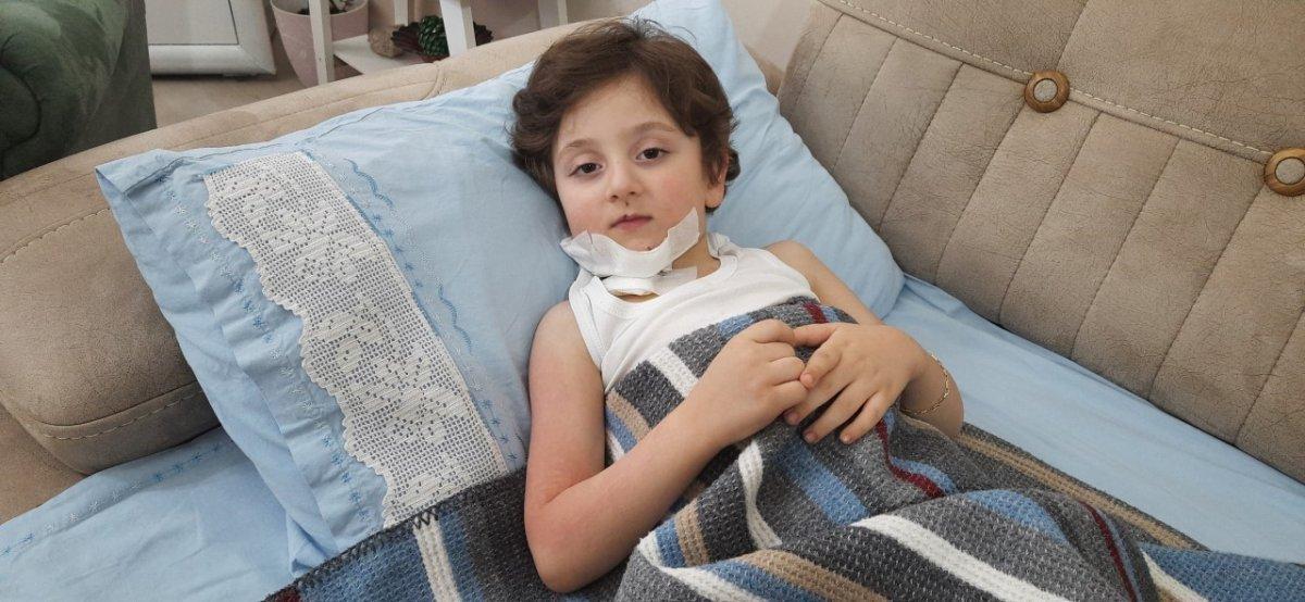 Kocaeli'de 5 yaşındaki çocuğa sokak köpekleri saldırdı