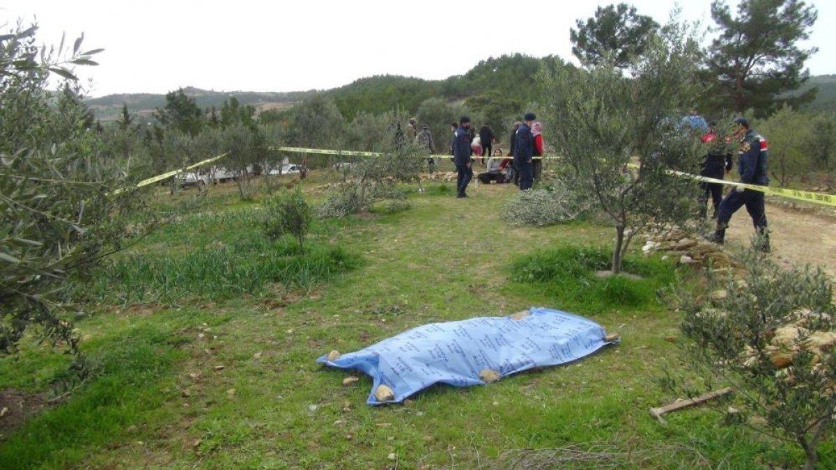 Antalya'da kardeşlerin ağaç kavgası kanlı bitti