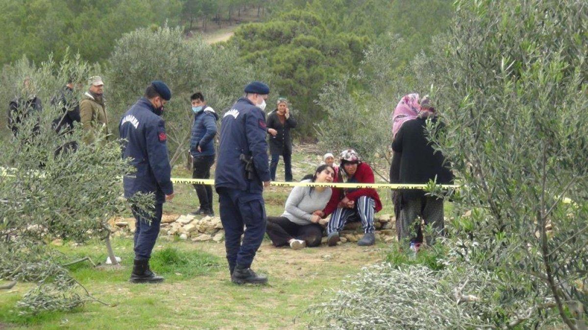 Antalya'da kardeşlerin ağaç kavgası kanlı bitti