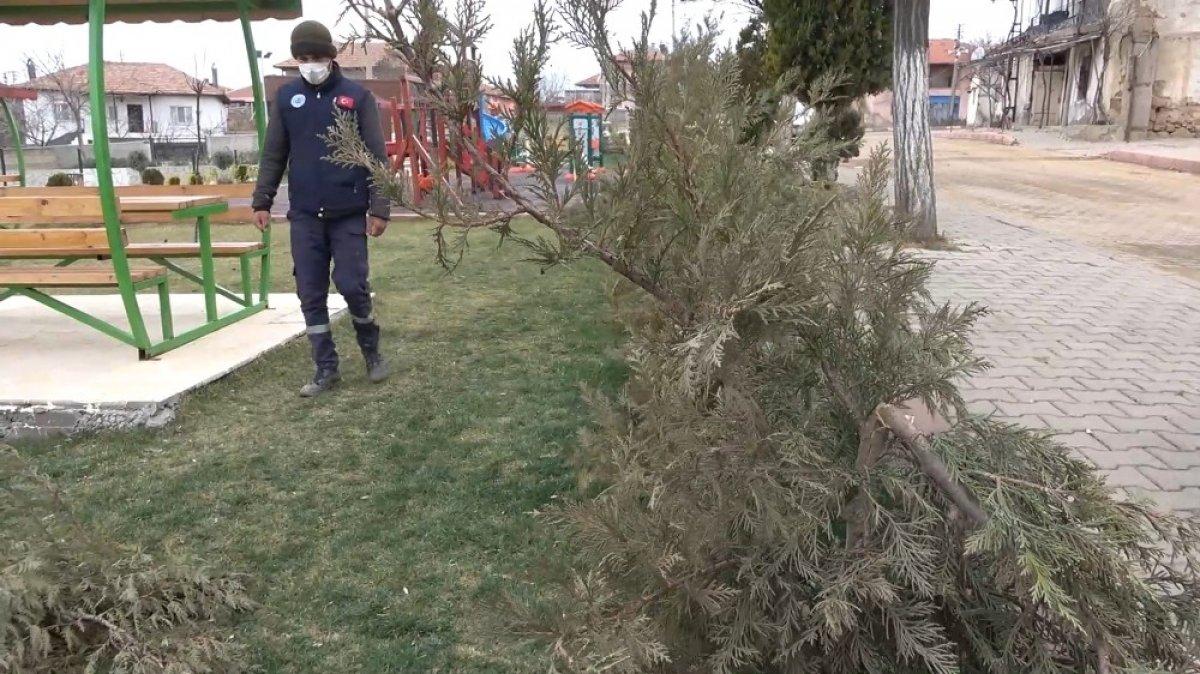 Kırıkkale'de parktaki 30 ağaç kesildi