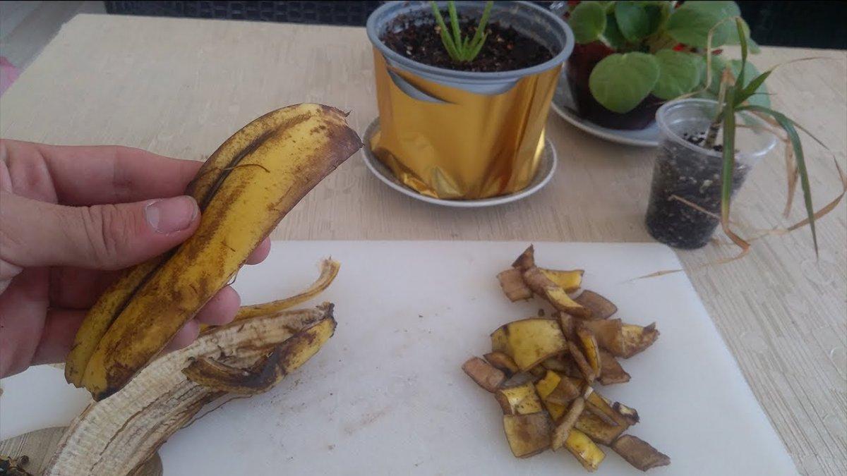 Bitkilere doğal gübre: Muz kabuğundan çiçek coşturan tarifi