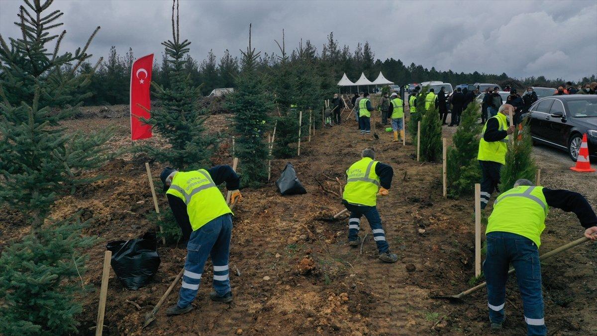 Bursa'da Çanakkale şehitleri anısına 4 bin 92 fidan dikildi