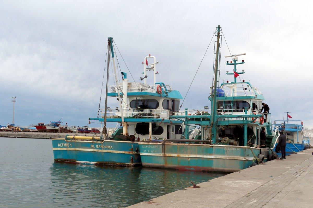 Samsun'da hamsi azaldı, ‘çaça’ avı başladı