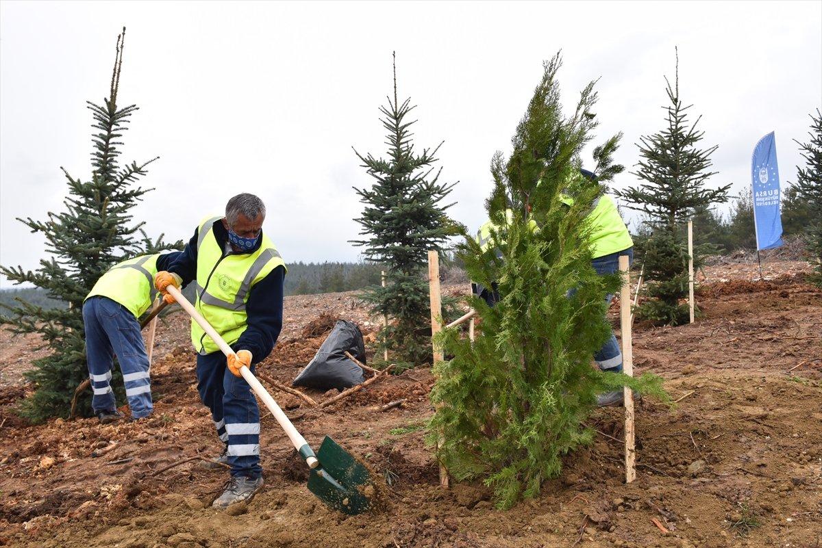 Bursa'da Çanakkale şehitleri anısına 4 bin 92 fidan dikildi