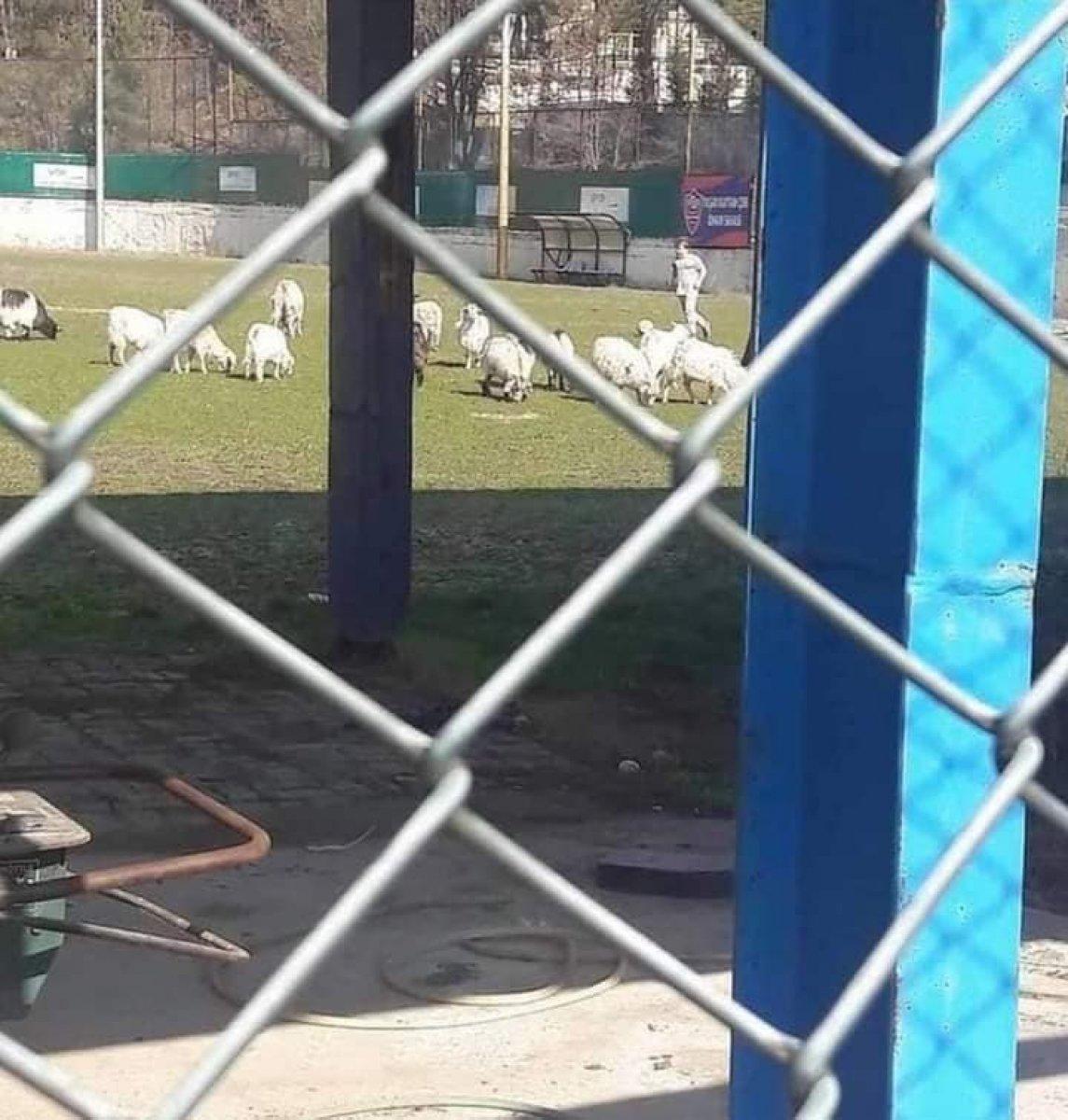 Karabükspor 3. lige düştü