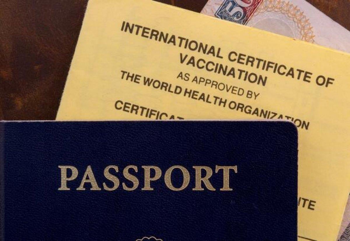 Aşı pasaportunda hangi koronavirüs aşısı kabul edilecek? Aşı pasaportunu kimler alabilecek?