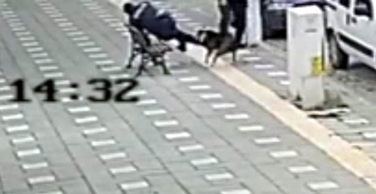 Manisa'da iki polis pitbull saldırısına uğradı