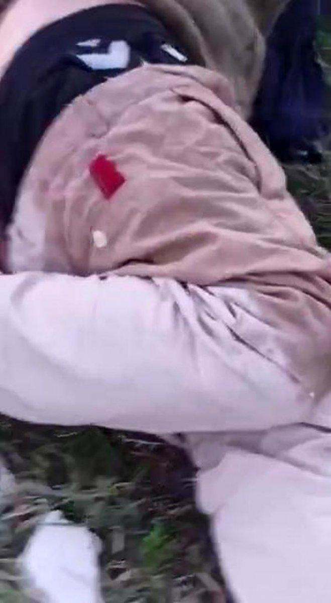 Antalya'da köpeğe tecavüz ederken yakalandı