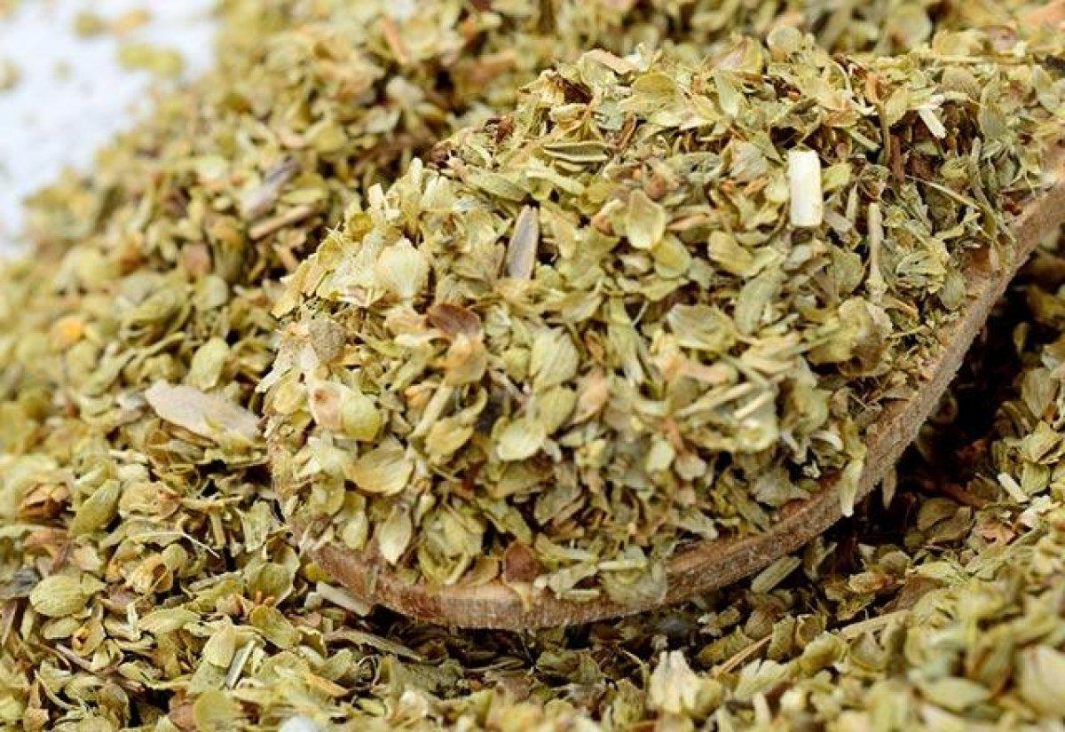 Şerbetçi otu nedir, faydaları nelerdir? Şerbetçi otu nasıl tüketilir?