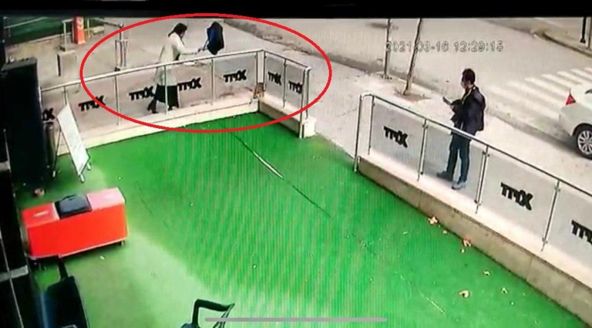 Ankara'da hamile kediye vuran kadına para cezası