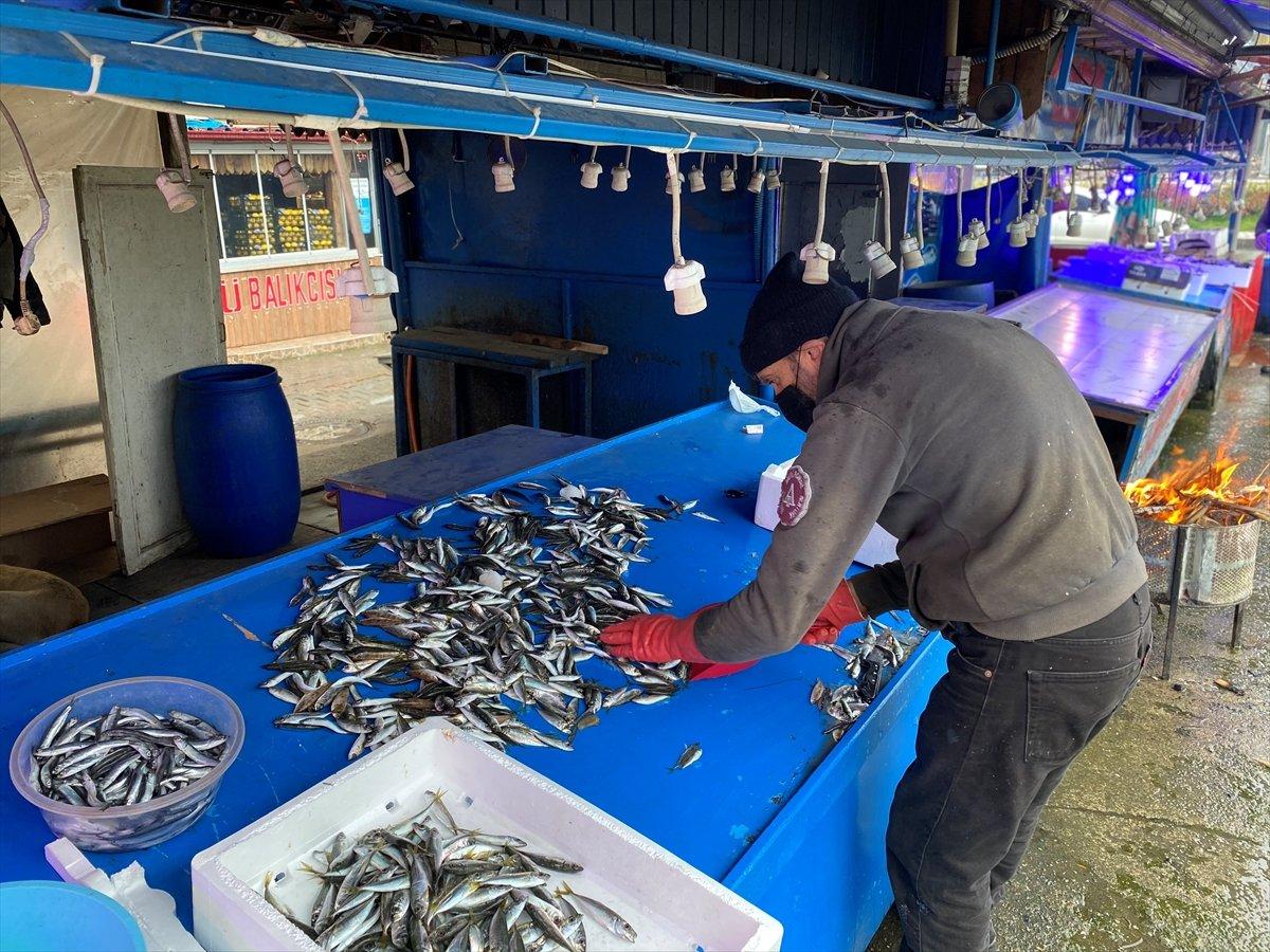 Trabzon'da taze hamsinin kilogramı 20 liradan satılıyor