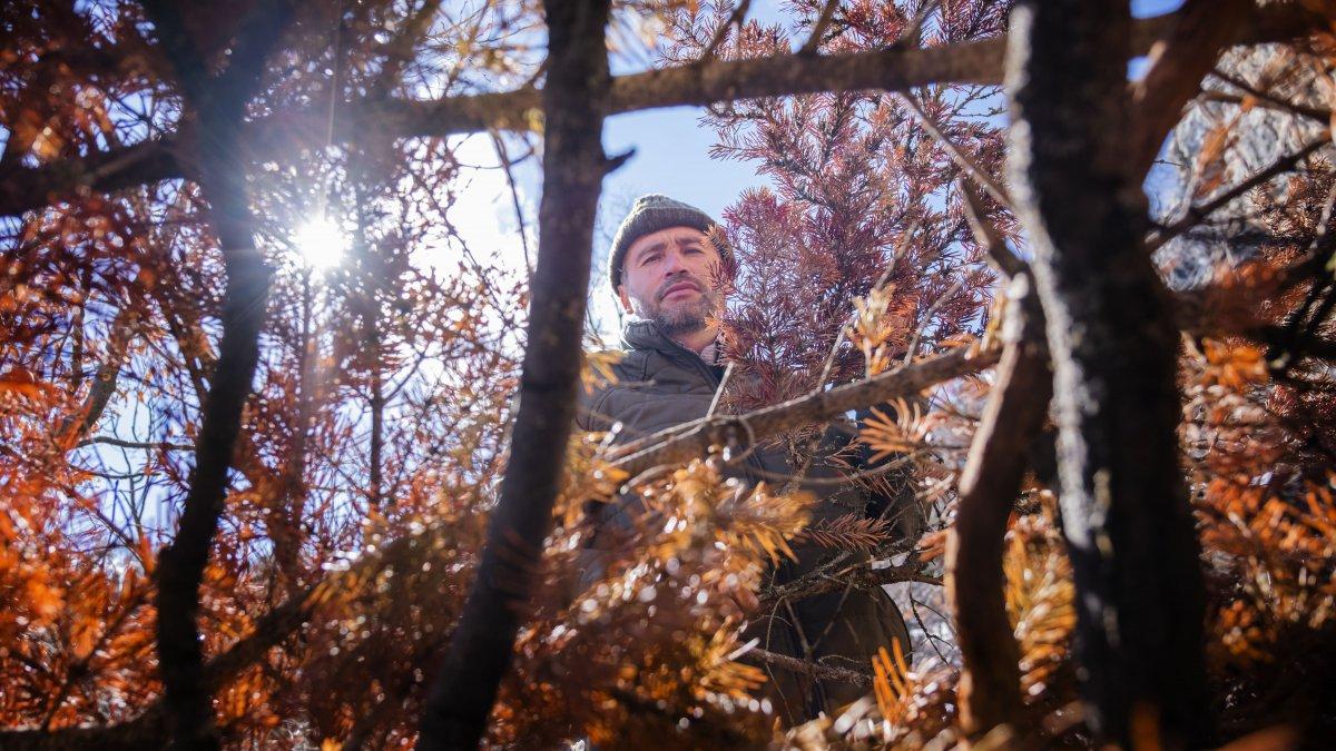 Konya'daki şizofreni baba, 6 yaşındaki oğlunu cesaret için dağa bıraktı
